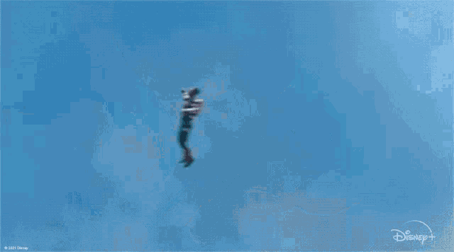 Fly Falcon GIF