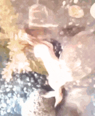 a blurry picture of a person 's face with the letter e on it