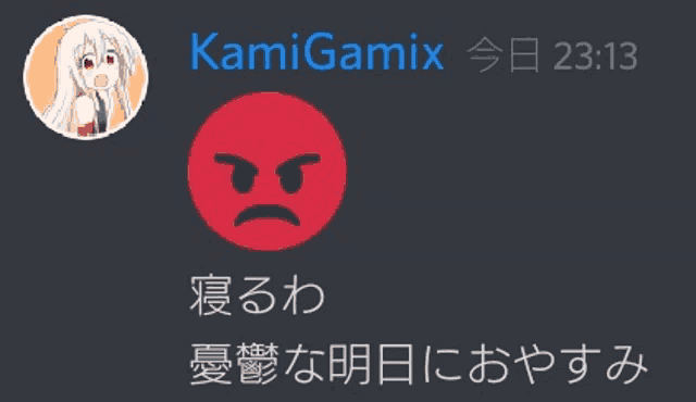 a screenshot of a chat with kamigamix and a red face