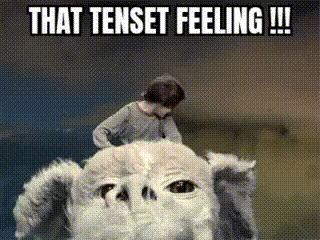 Tenset 10set GIF - Tenset 10set Feeling GIFs