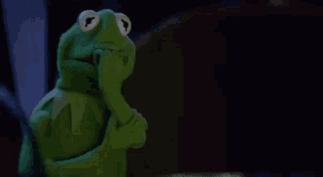 kermit the frog from the muppet show is holding his hand to his face and thinking .
