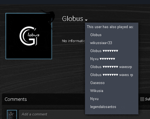 a screenshot of a user 's profile with globus at the top