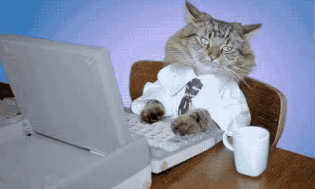 Cats-1 GIF - Cats-1 GIFs