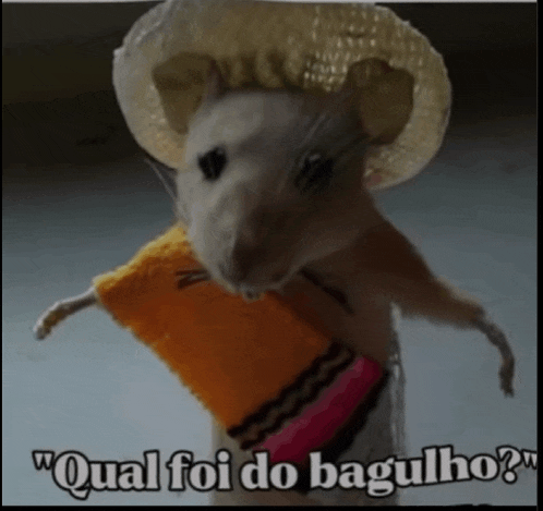 a mouse wearing a sombrero and a blanket with the words qual foi do bagulho