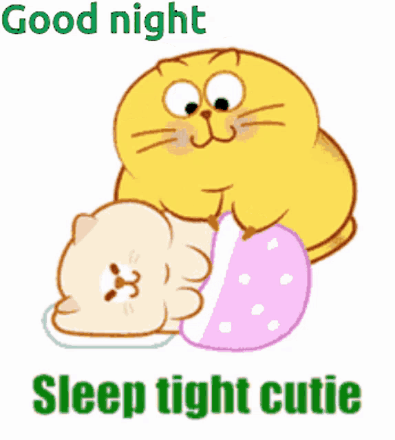 a cartoon cat laying on top of another cat with the words " good night sleep tight cutie " below it
