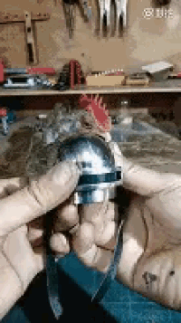 a person is holding a metal object in their hand with a rooster in the background ..