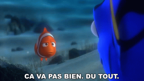 Le Monde De Nemo ça Va Pas Bien GIF - Le Monde De Nemo ça Va Pas Bien Marin GIFs