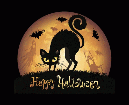 Happy Halloween Black Cat GIF - Happy Halloween Black Cat Full Moon GIFs