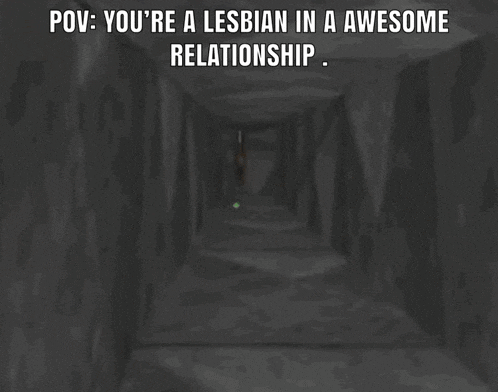 a pixelated horse is standing in a dark hallway with the words pov you 're a lesbian in an awesome relationship