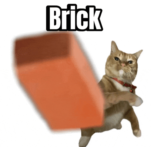 a cat is kicking a brick in the air with the word brick above it