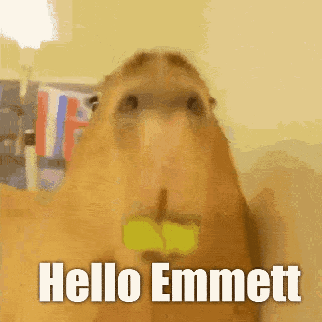 Emmett GIF - Emmett GIFs