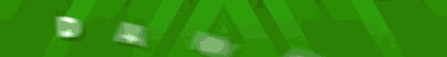 a green background with the words danko dudes written on it