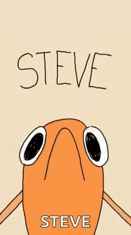 a cartoon drawing of a fish with the name steve written above it