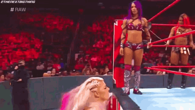 a female wrestler is standing on the edge of a wrestling ring in front of a crowd .