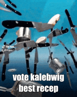 a bunch of knives are floating in the air with the words vote kalebwig best recep on the bottom