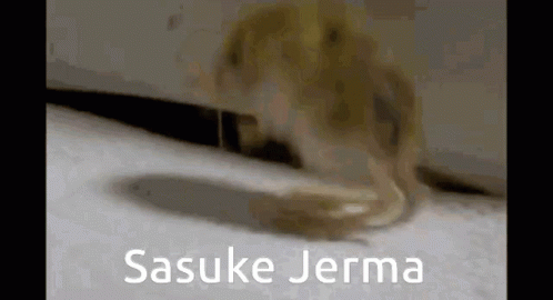 Sasuke Jerma GIF - Sasuke Jerma GIFs