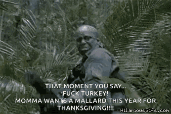 that moment you say fuck turkey momma wants a mallard this year for thanksgiving hilariousgifs.com