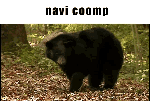 a black bear is walking through a forest with the words navi coomp above it