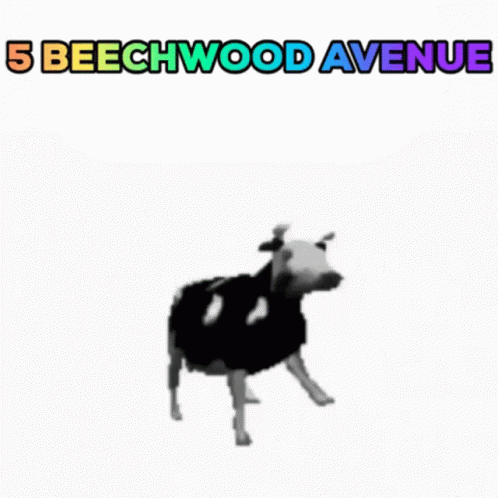 5beechwood Avenue GIF - 5beechwood Avenue GIFs