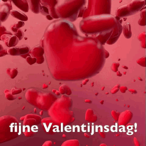 a bunch of red hearts are floating in the air on a pink background with the words fijne valentijnsdag .