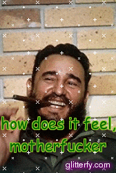 a man with a beard is smiling and smoking a cigar with the words how does it feel motherfucker