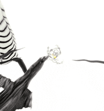 a person in a black and white striped shirt is surrounded by a bunch of strange looking objects