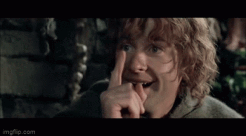 Lord Of The Rings I See GIF - Lord Of The Rings I See I Know GIFs