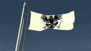 a white flag with an eagle on it is flying in the wind