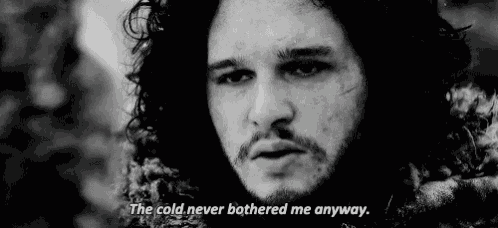 a black and white photo of a man with long hair and a beard with the words `` the cold never bothered me anyway '' .