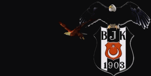 Turkey Flag GIF - Turkey Flag Eagle GIFs