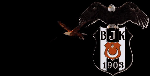 an eagle is flying over a bjk 1903 shield