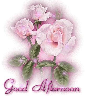 a picture of pink roses with the words good afternoon on it