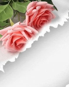 a couple of pink roses sitting on top of a piece of paper .