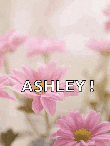a happy mother 's day card with pink flowers
