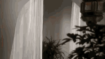 a white curtain is blowing in the wind in a room with a lantern .