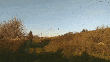 a person is walking down a path in a field with power lines