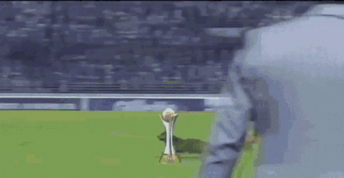 Hahhah Field GIF - Hahhah Field Dog GIFs
