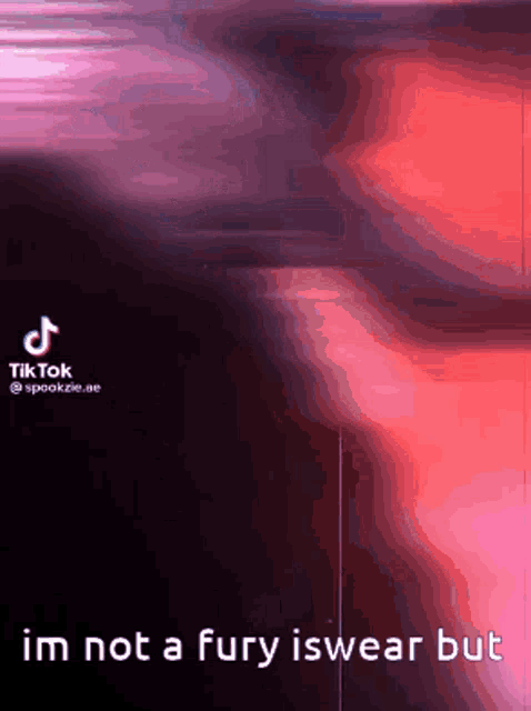 a tiktok video that says i 'm not a fury iswear but