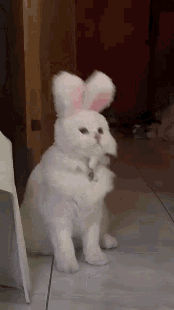 a white cat wearing bunny ears and a collar is standing on a tiled floor .