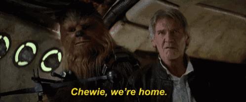 a man and a chewbacca are sitting next to each other in a car and the chewie says we 're home .