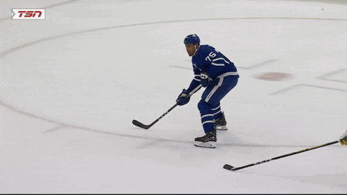 Toronto Maple Leafs Ryan Reaves GIF