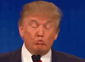 Donald Trump Smug GIF - Donald Trump Smug GIFs