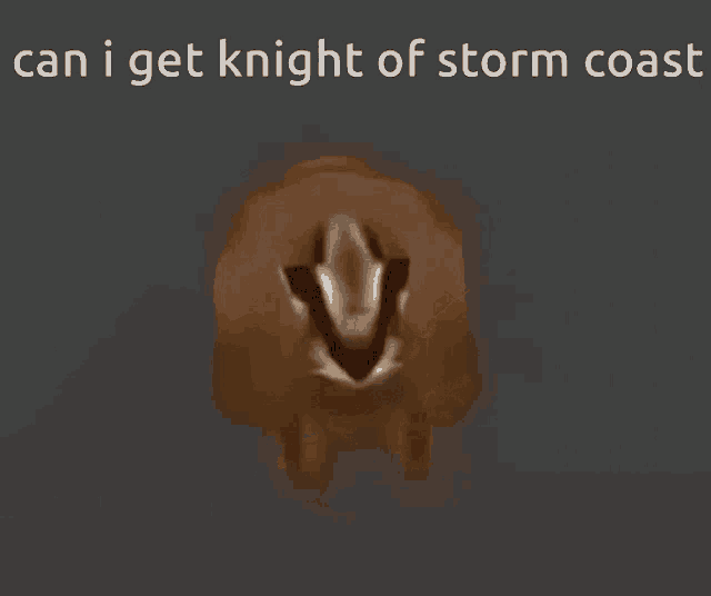 a picture of a cheetah with the words can i get knight of storm coast above it