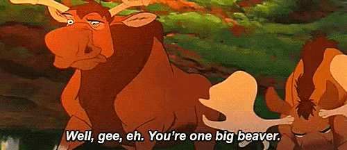 a cartoon moose is standing next to another moose and says well , gee , eh .
