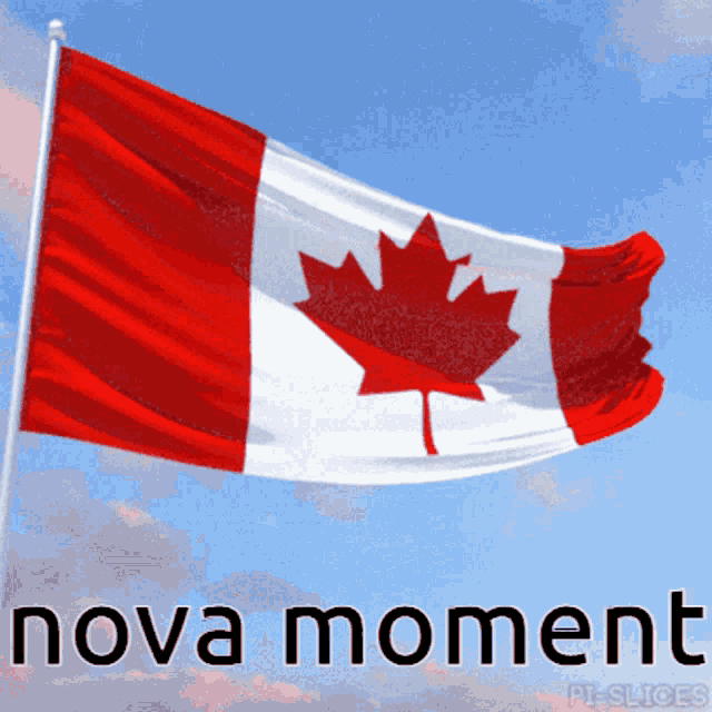 Nova Hypernova GIF - Nova Hypernova Canada GIFs