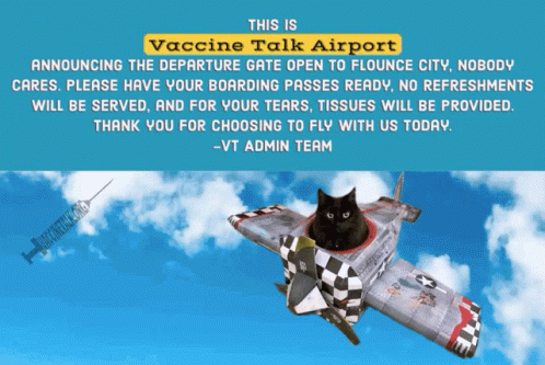 Vt Vaccine Talk GIF - Vt Vaccine Talk Airport GIFs