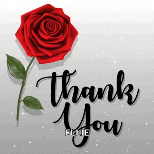 a red rose is on a thank you card