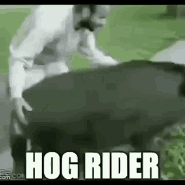 Hog Rider Wtf Is This GIF - Hog Rider Wtf Is This GIFs