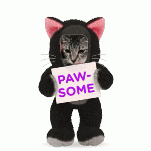 Pawsome Oreo Cat GIF
