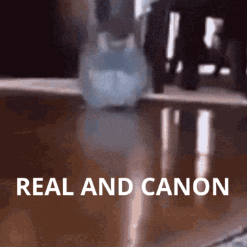 Real And Canon Fat Cat GIF - Real And Canon Canon Fat Cat GIFs